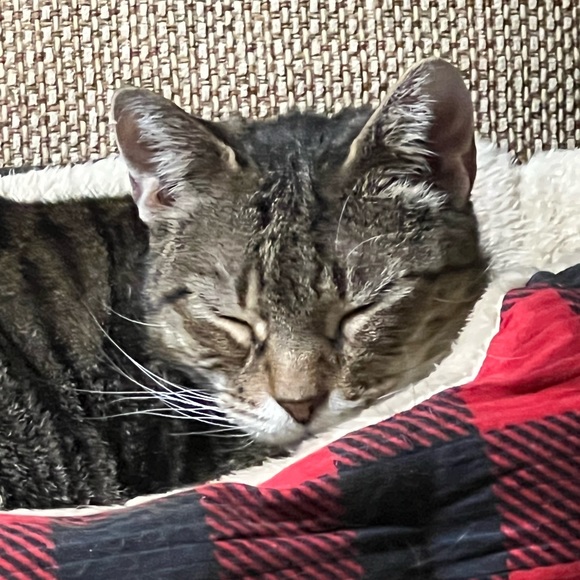 Meet your Posher, Kim - Picture 8 of 8